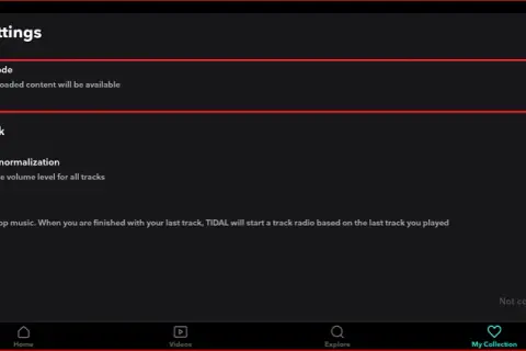 Tidal bez internetu? Tak! Jak pobrać muzykę i słuchać offline